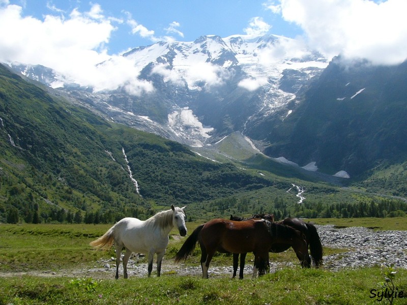 Les chalets de miage Mountain idées chalet