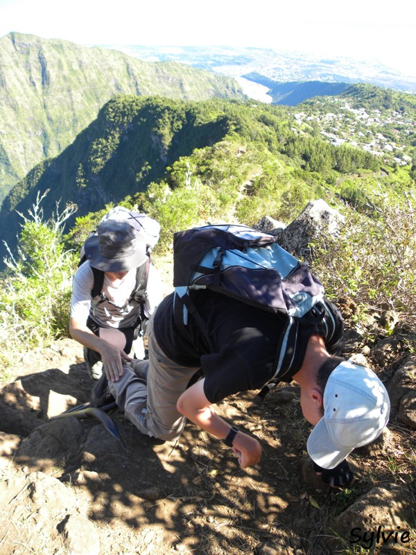 2011-LA REUNION