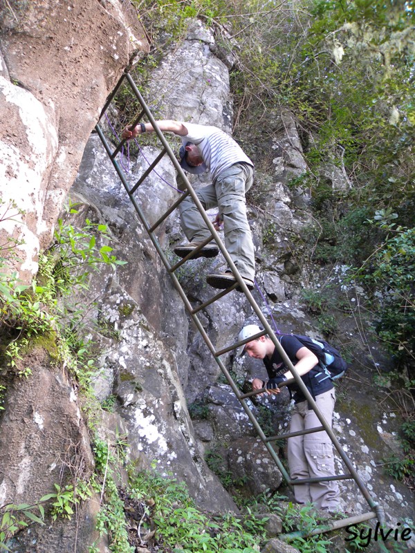 2011-LA REUNION4