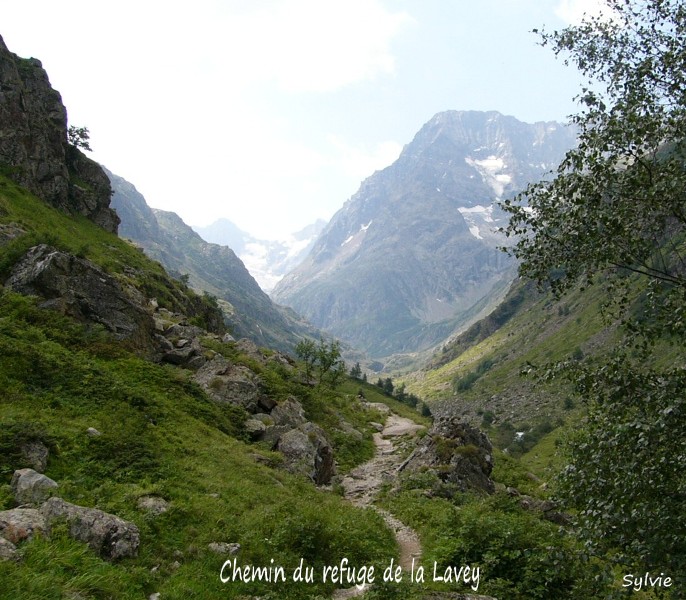 Chemin du refuge de la Lavey