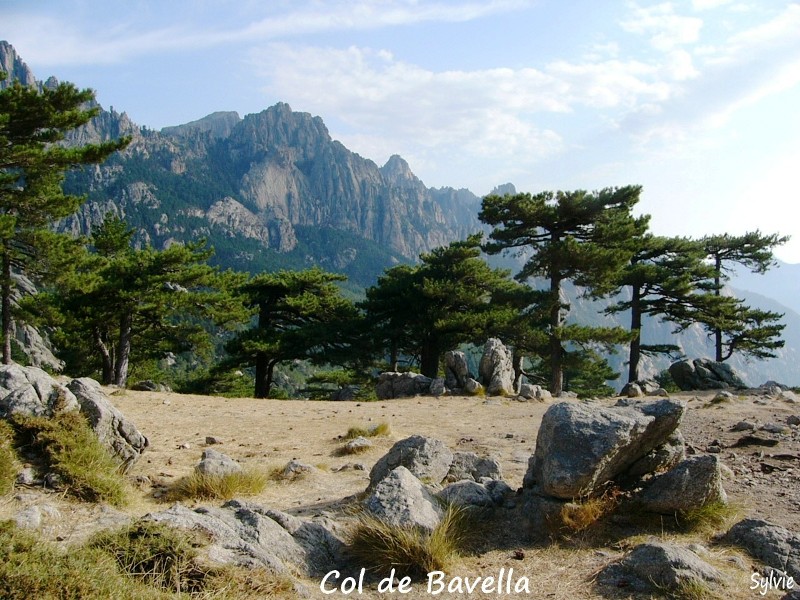 Col-de-bavella