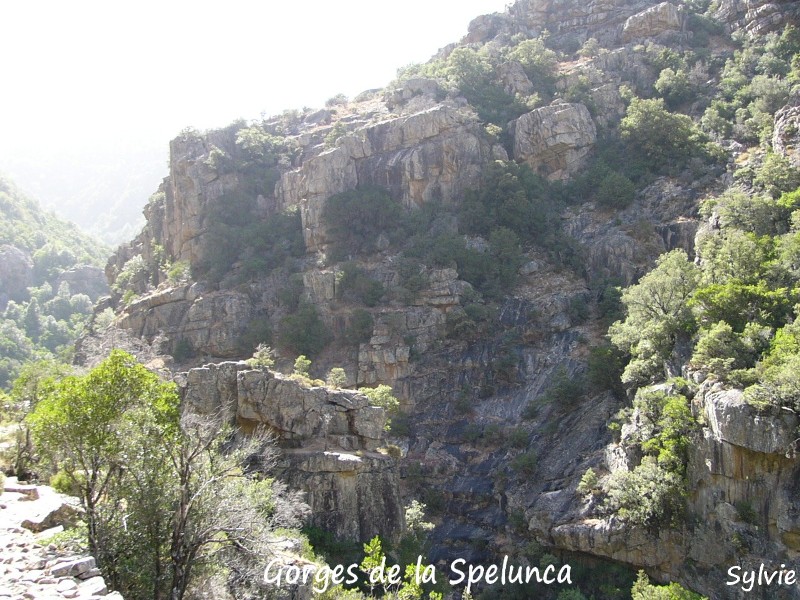 Gorges-de-la-Spelunca