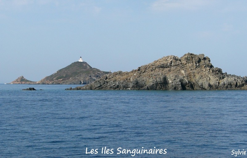 Iles-Sanguinaires