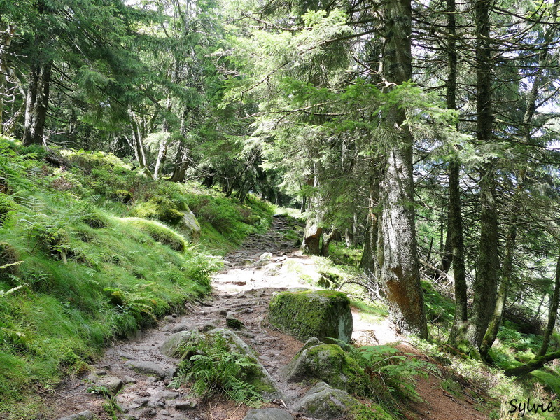 LAC BLANC VOSGES2