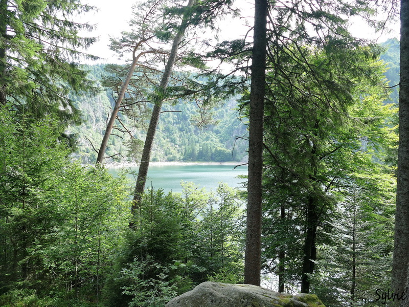 LAC BLANC VOSGES4