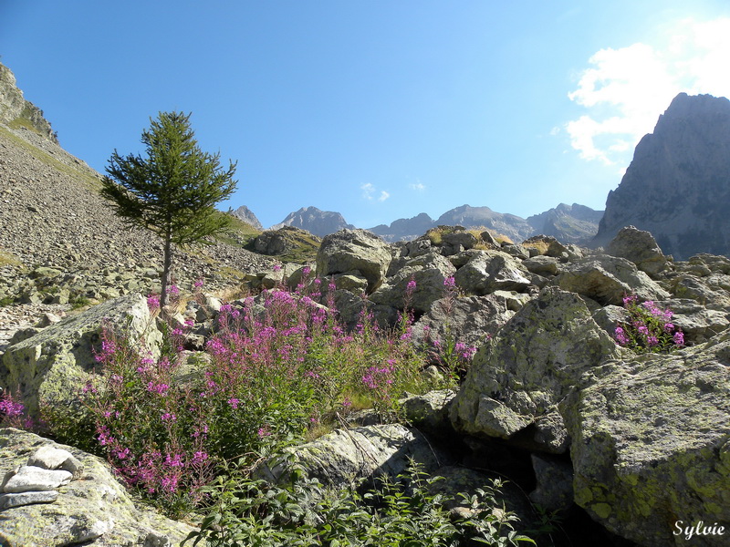 LAC ET COL DE FENESTRE