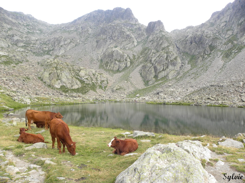 LAC ET COL DE FENESTRE19