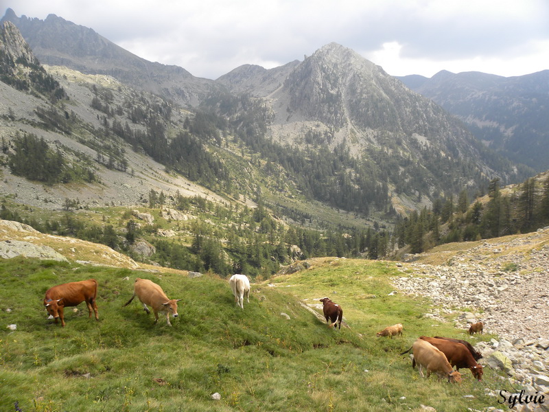 LAC ET COL DE FENESTRE20