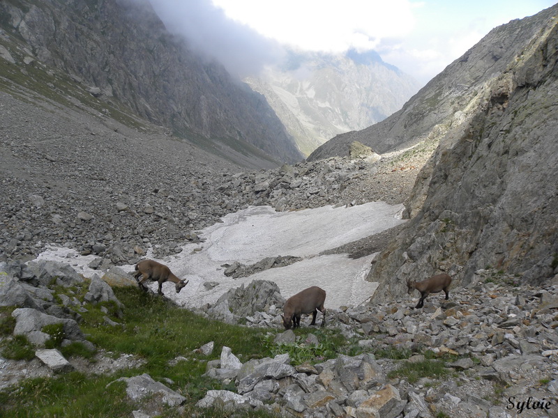 LAC ET COL DE FENESTRE8