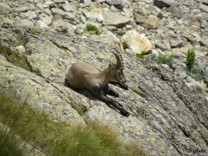 LAC ET COL DE FENESTRE9