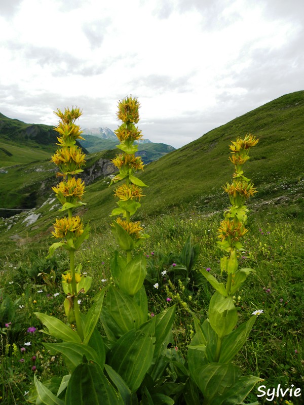 LE-ROCHER-DU-VENT1