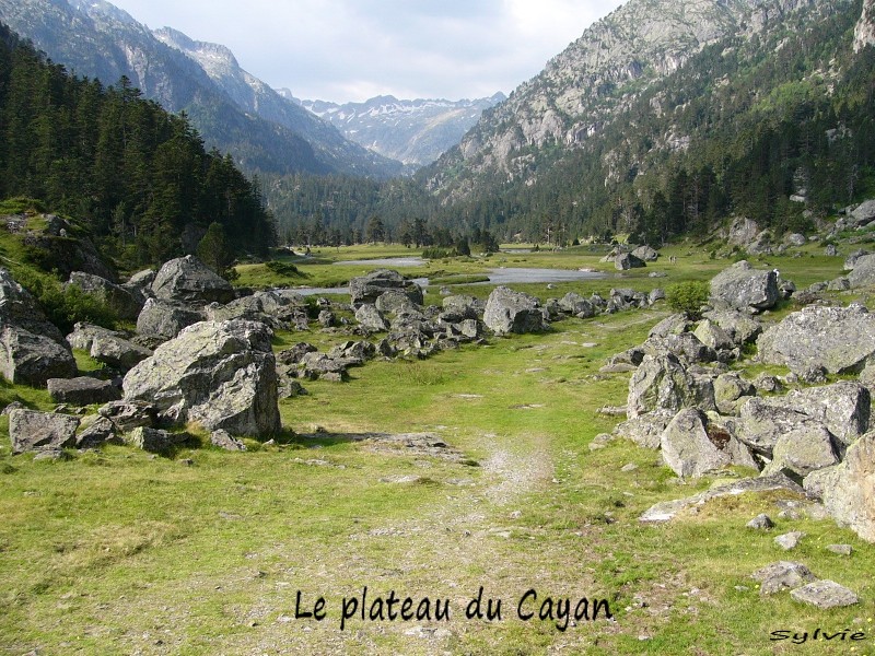 LE PLATEAU DU CAYAN2