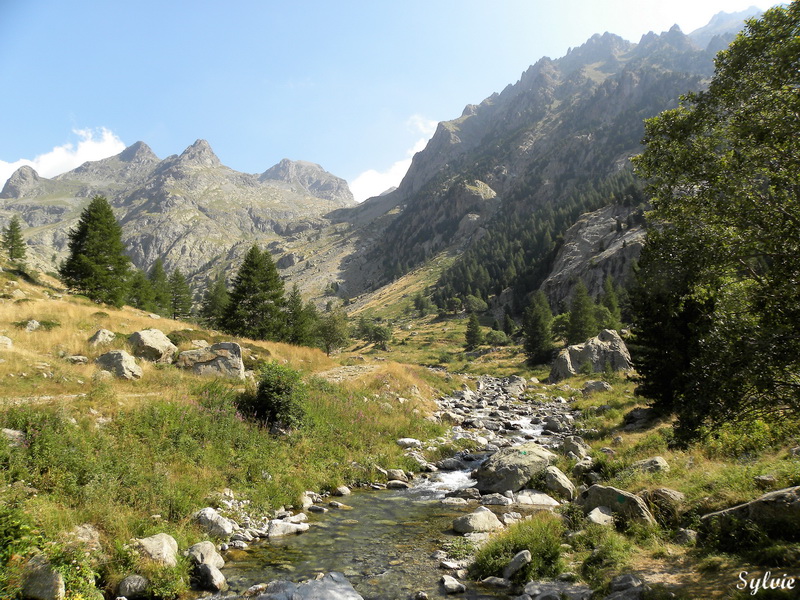 Lac autier