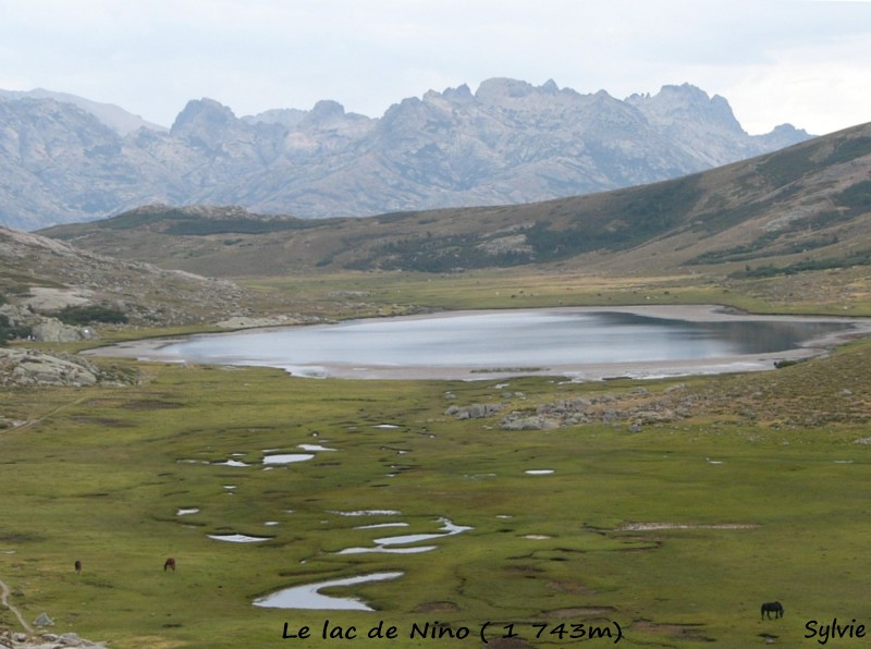 Lac-de-nino