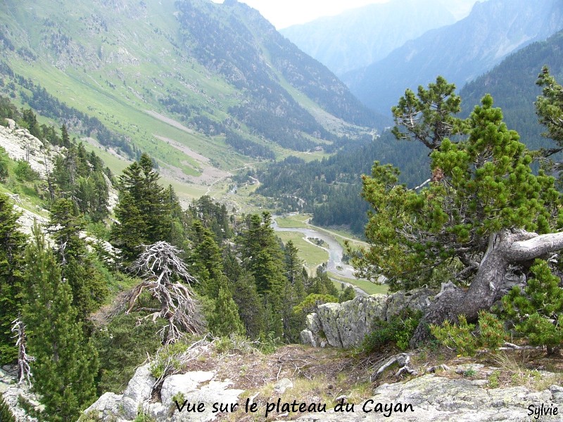 Le-plateau-du-Cayan-vu-den-haut