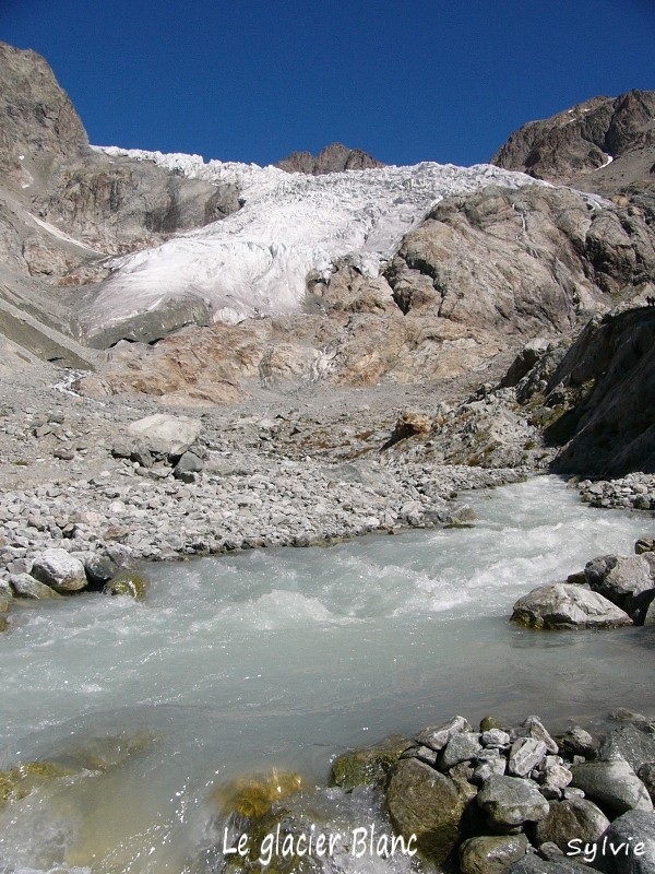 Le glacier Blanc