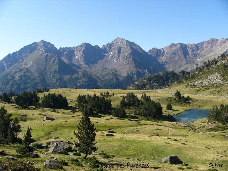 Pasysage des PyrénéesJPG