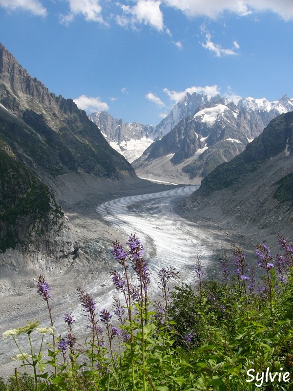 Plan-aiguille-du-midi-montenvers10