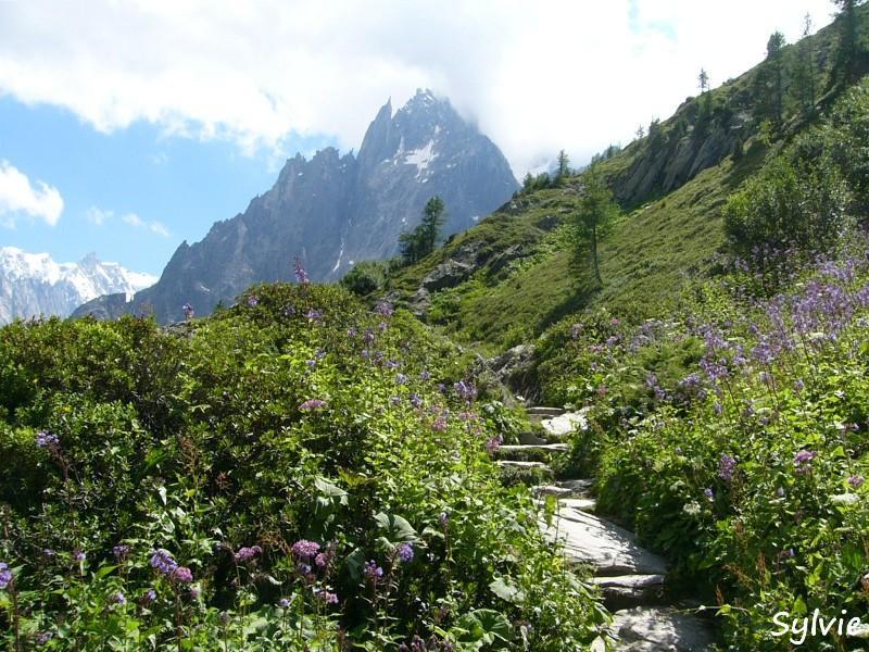 Plan-aiguille-du-midi-montenvers11