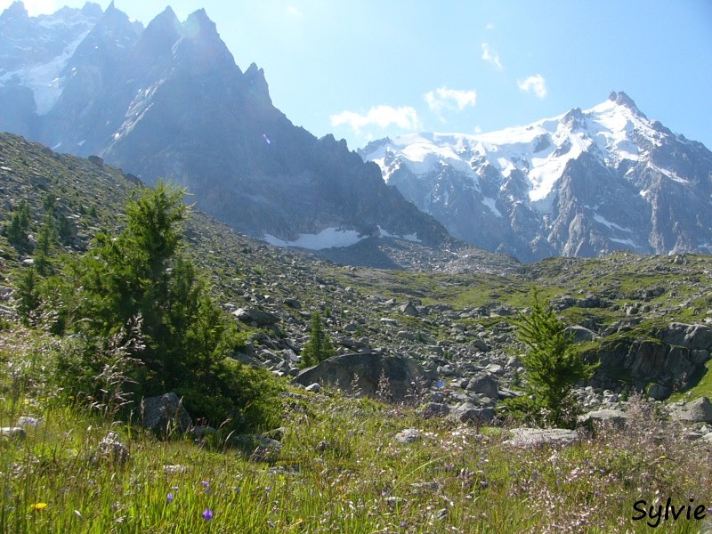 Plan-aiguille-du-midi-montenvers4