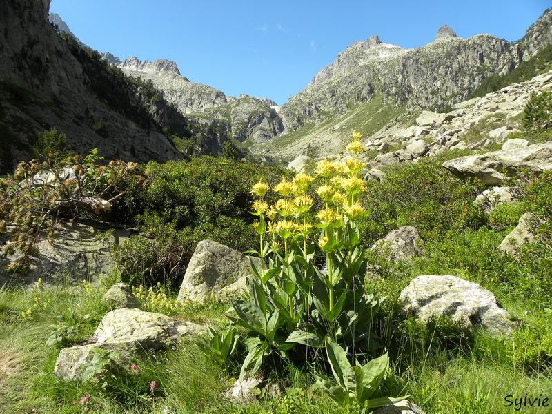 REFUGE LARRIBET10