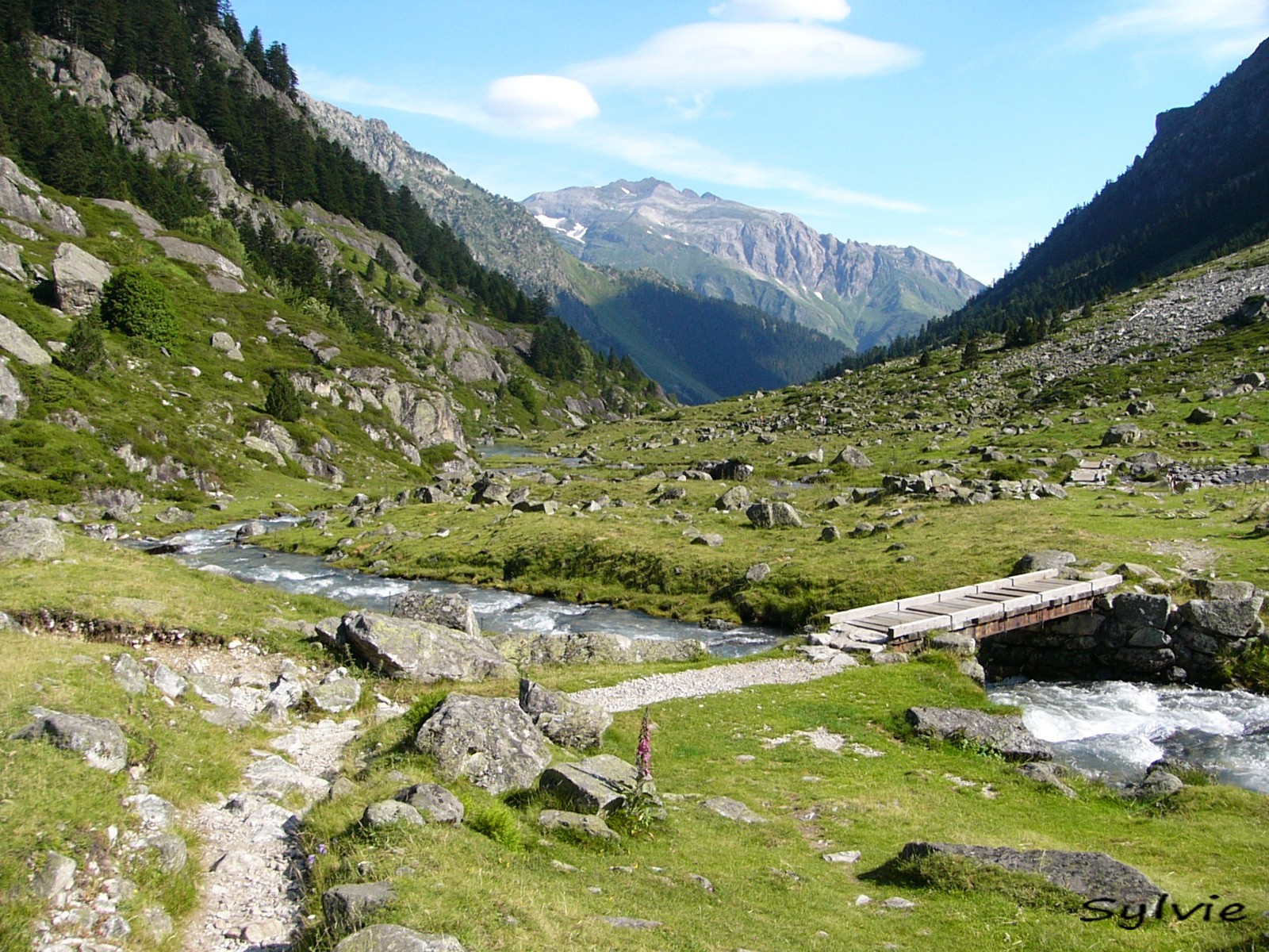 SUR LE CHEMIN DES LACS DE REMOULIS