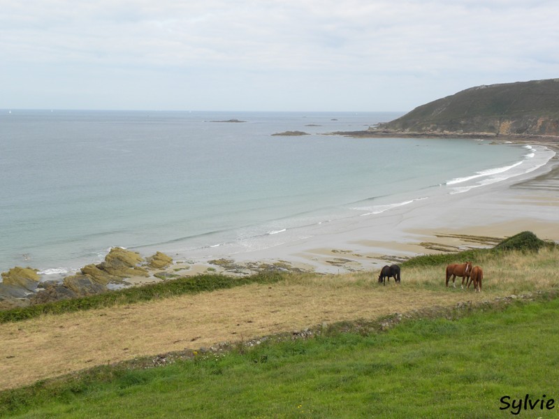 Sentier-du-littoral-cotentin