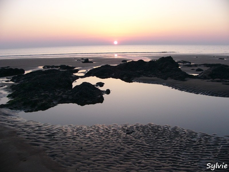 Sentier-du-littoral-la-turballe