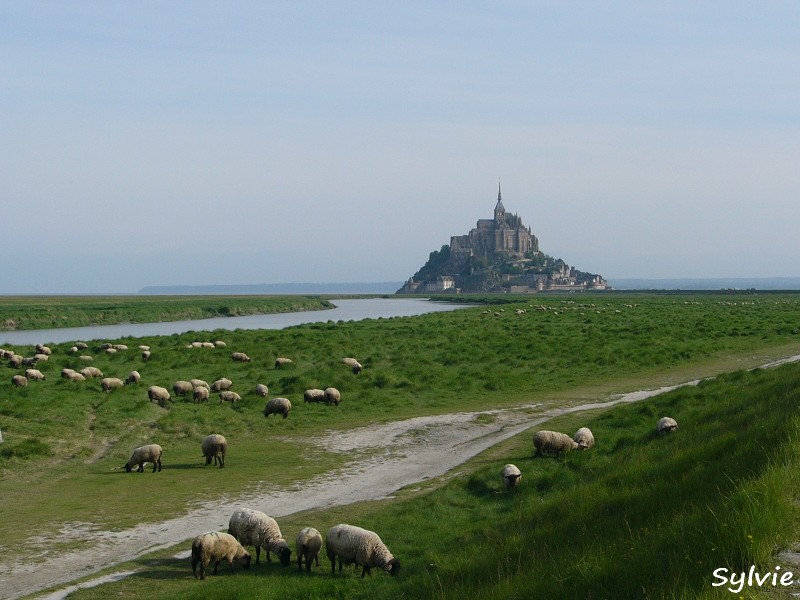 Sentier-du-littoral-mont-saint-michel