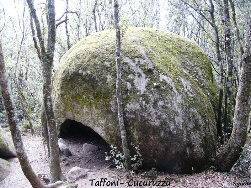 Taffoni-cucuruzzu