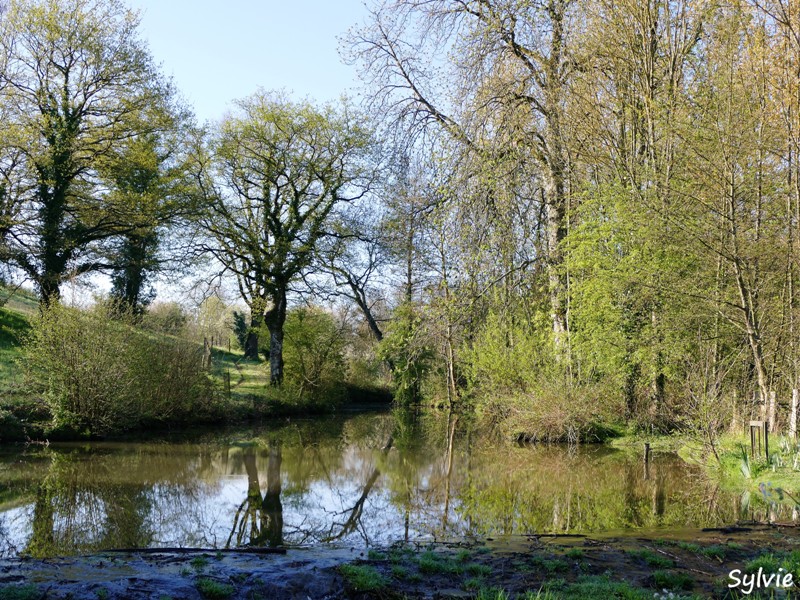 abbaye bellefontaine chemin des canons