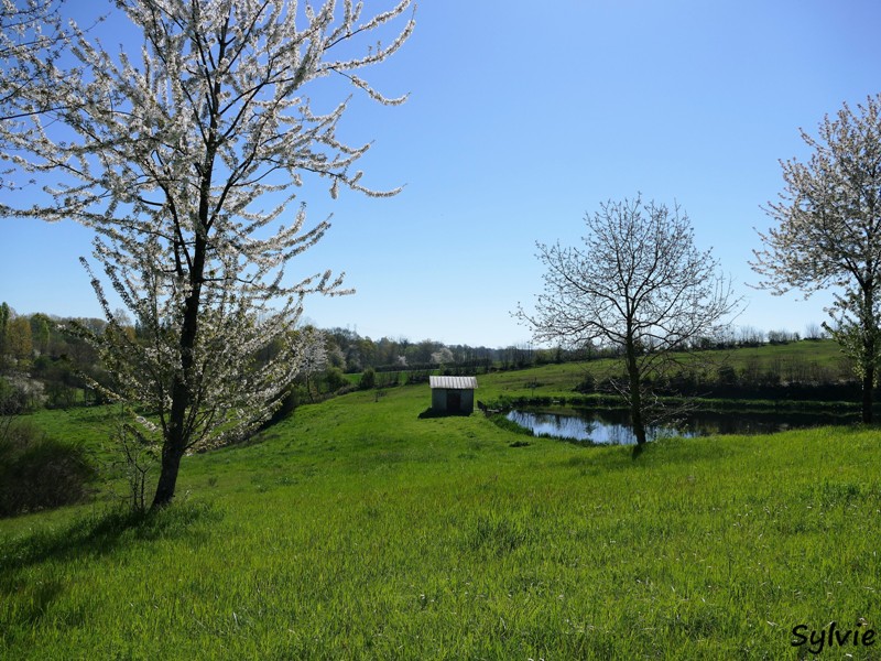 abbaye bellefontaine chemin des canons12 