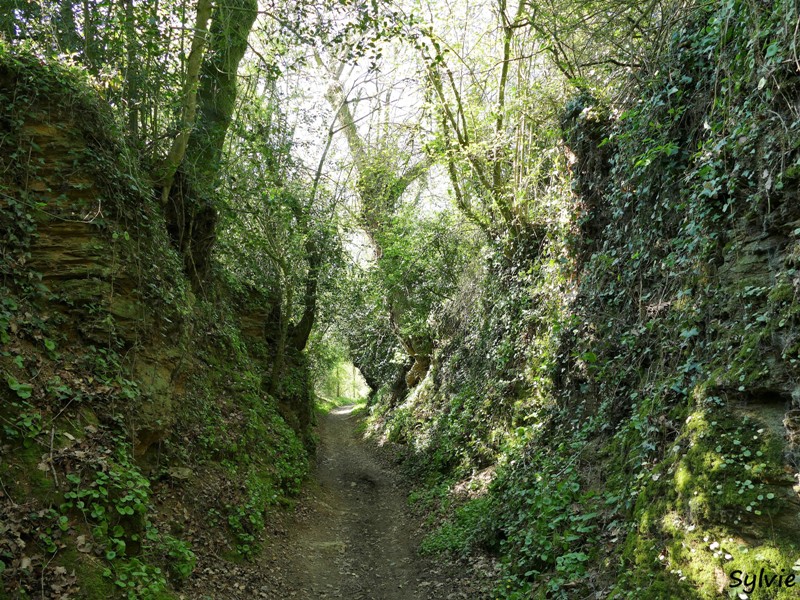 abbaye bellefontaine chemin des canons15