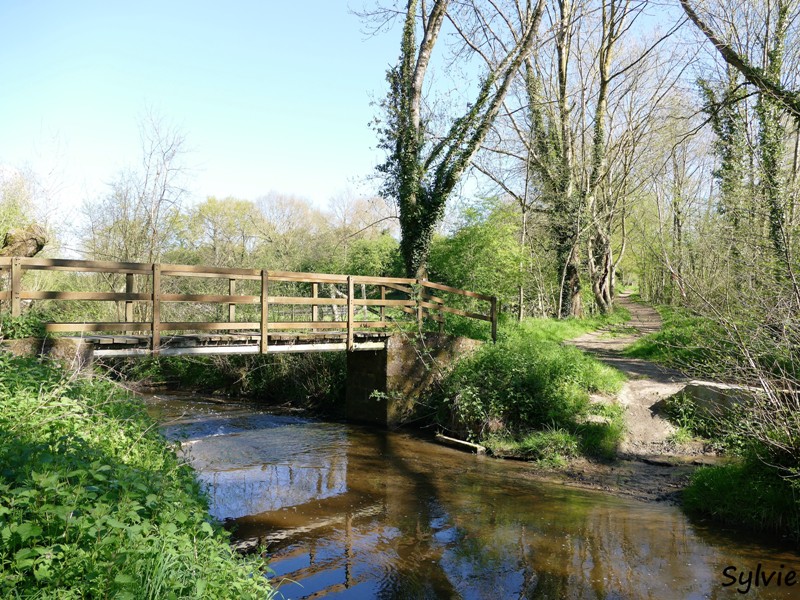 abbaye bellefontaine chemin des canons17