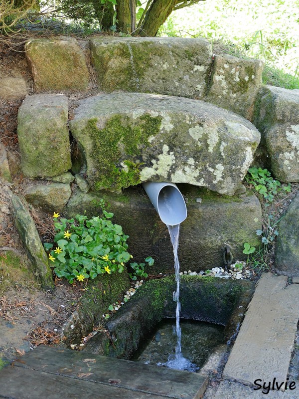 abbaye bellefontaine chemin des canons19