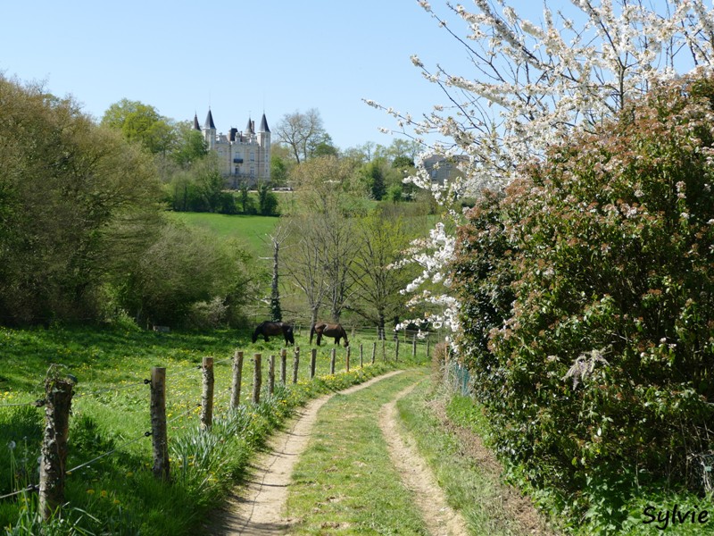 abbaye bellefontaine chemin des canons22