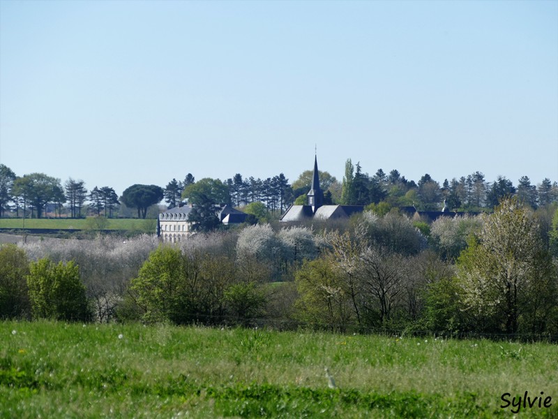 abbaye bellefontaine chemin des canons3