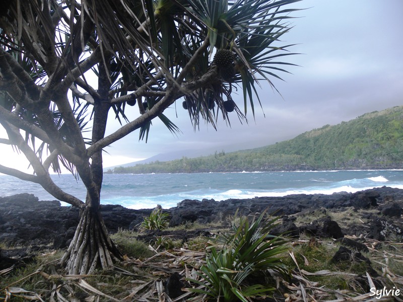 anse-des-cascades11