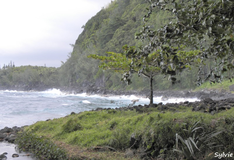 anse-des-cascades2