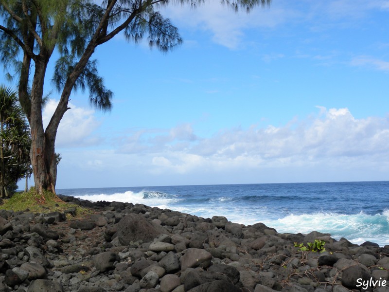 anse-des-cascades4