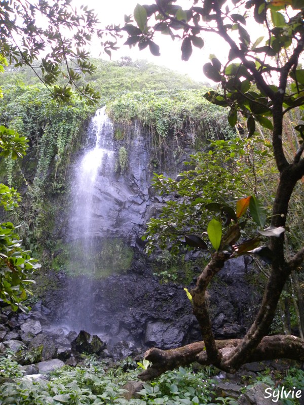 anse-des-cascades5