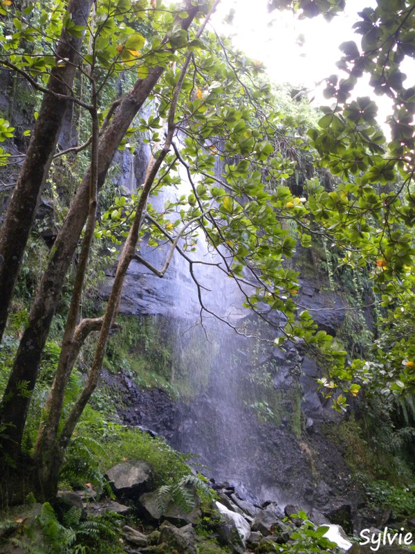 anse-des-cascades6