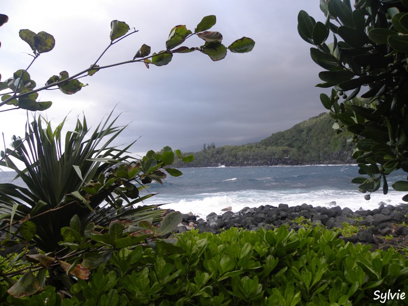 anse-des-cascades9