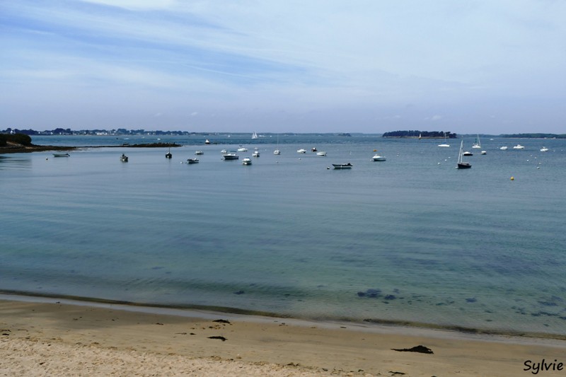 arzon pointes du golfe19