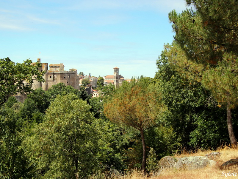 au coeur de clisson11