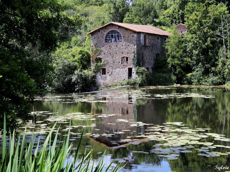 au coeur de clisson6