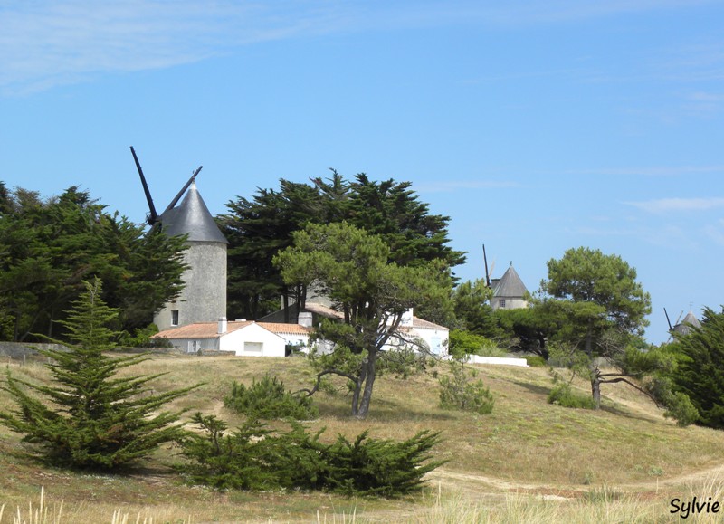 autour-des-moulins-noirmoutier10