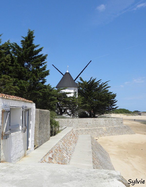 autour-des-moulins-noirmoutier8