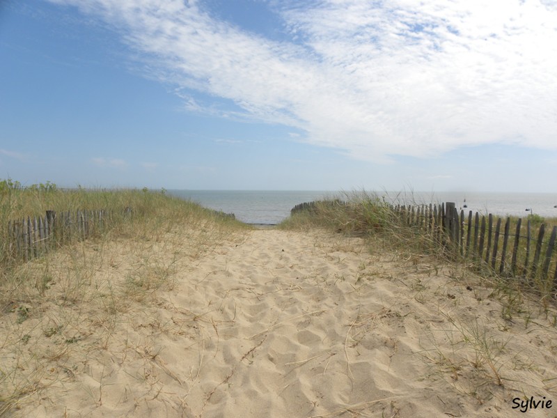 autour-des-moulins-noirmoutier9