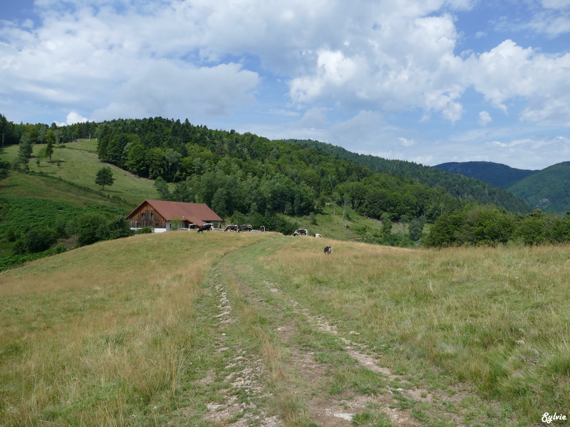 ballon alsace3